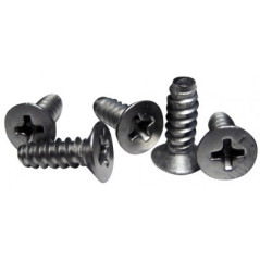 SS SCREW MS21207-C10-8