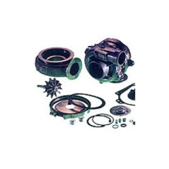 CF600395-001 RAYJAY SHIM