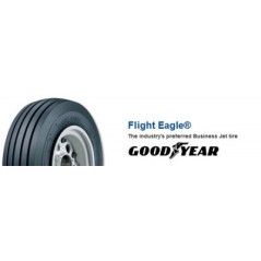 GOODYEAR RIB 22X7,75-10...