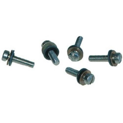 SCREW/SEAL ASSEMBLY (Fuel...