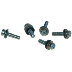 SCREW/SEAL ASSEMBLY (Fuel...