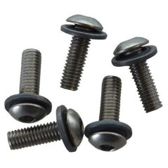 SCREW/SEAL (Fuel...